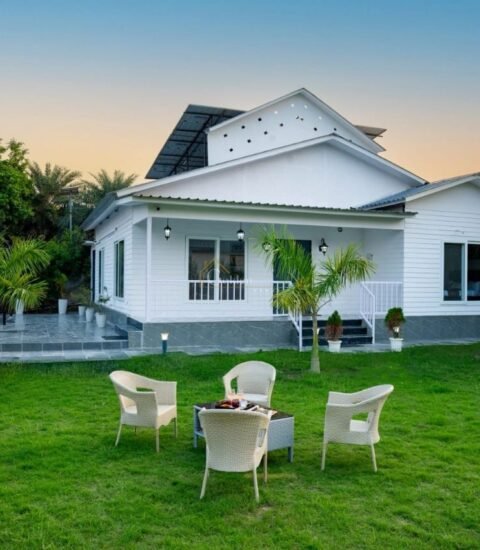 Front entrance of a white farmhouse with a teal door, porch lamps, potted plants and palm trees on the lawn